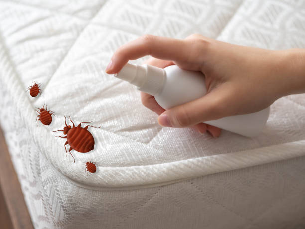 Indoor Pest Control in Hooper, NE